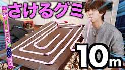 はじめしゃちょーが巨大スマホケースを使って1週間生活してみた結果ｗｗｗｗ